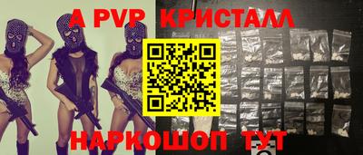 индика Камышлов