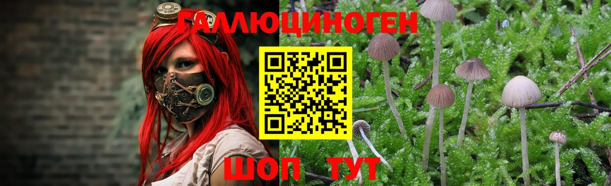 Галлюциногенные грибы мицелий Киреевск
