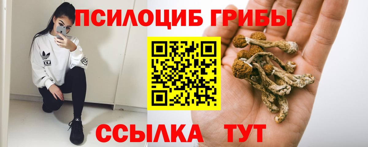 Псилоцибиновые грибы Magic Shrooms  Псилоцибиновые грибы GOLDEN TEACHER  Вход с VPN  Киреевск 